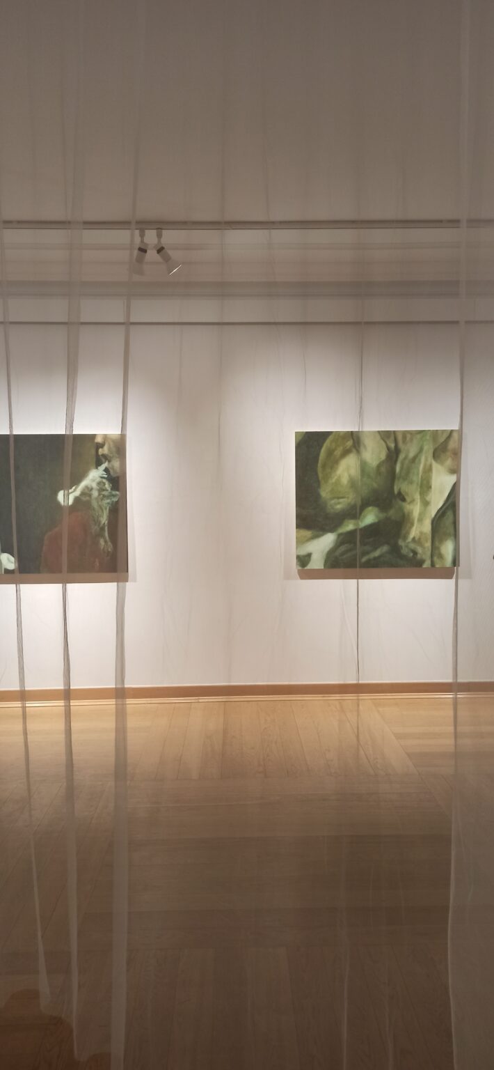 widok wystawy, dwie dwa obrazy za przezroczystą firanką